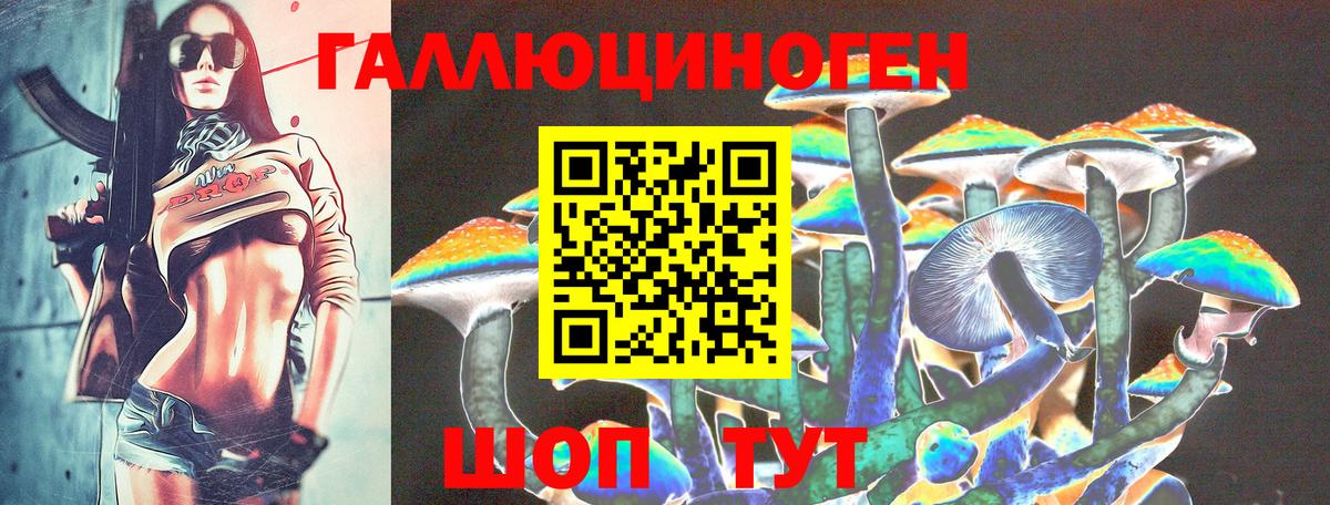 Псилоцибиновые грибы Psilocybe  Вход с VPN  Лениногорск  Галлюциногенные грибы Cubensis 